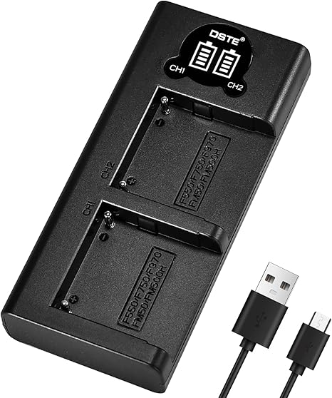 Caisi CS-NP-F970 Dual Battery Charger