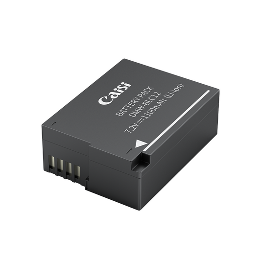 Caisi CS-DMW-BLC12 Battery