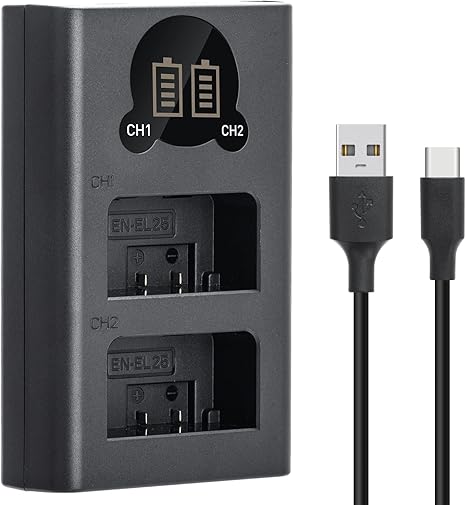 Caisi CS-LP-E10 Dual Battery Charger