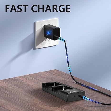 Caisi CS-NP-F970 Dual Battery Charger