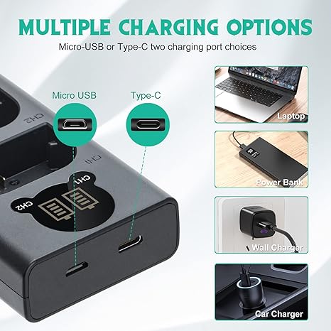Caisi CS-LP-E12 Dual Battery Charger